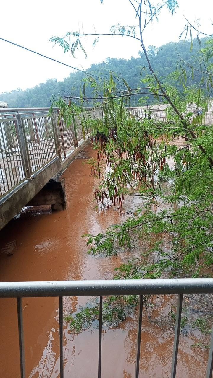 Creciente del río Iguazú: cerraron el puerto y comenzaron a evacuar comercios de la costa 3